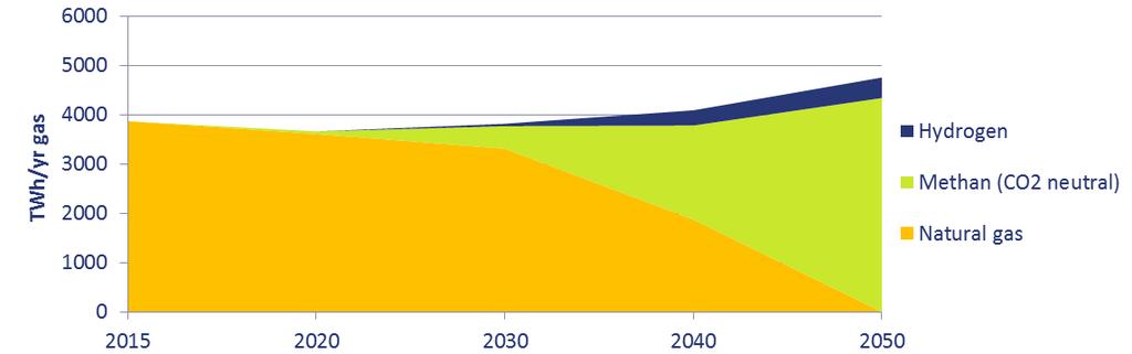 2050 Strong