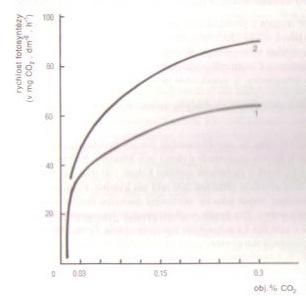 Obr. 56 Závislost rychlostí fotosyntézy na