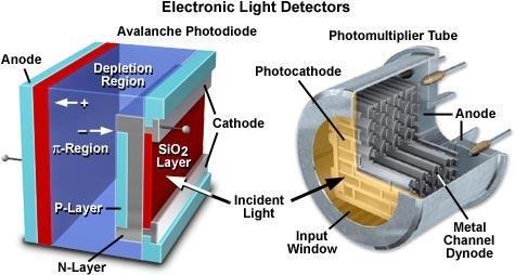 Detektory zobrazovací zařízení rozhoduje o tom, jak malou fluorescenci jsme ještě schopni zachytit, případně jak rychlé procesy jsme schopni zaznamenat elektronické senzory lze popsat mnoha