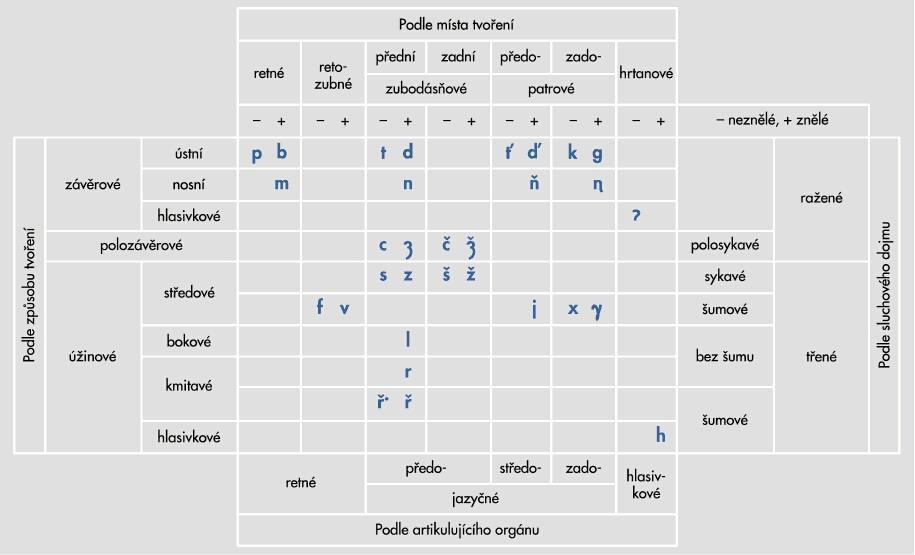 1 SOUHLÁSKY V ČEŠTINĚ V českém jazyce se vyskytuje 27 souhláskových fonémů.