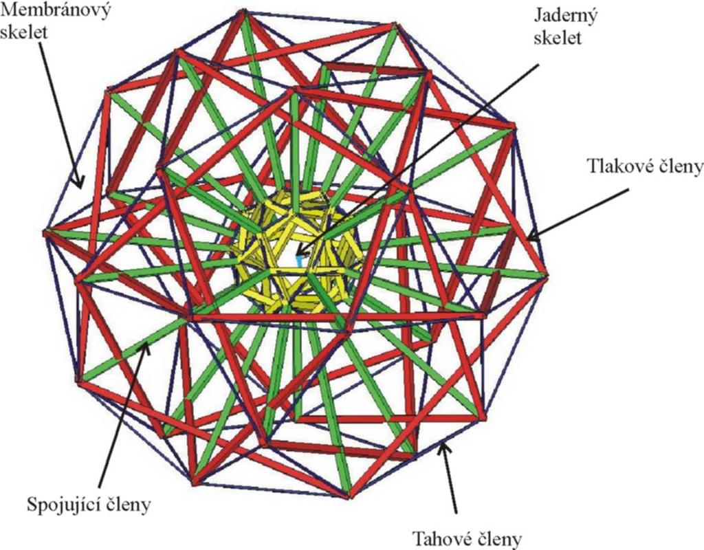 Obr. 5 Kompletní tensegritní model cytoskeletu vepsaný do icosidodecahedronu; 120 tahových členů, 60 tlakových a 30 spojovacích členů Charakteristiky strukturního modelu Základním nezatíženým tvarem