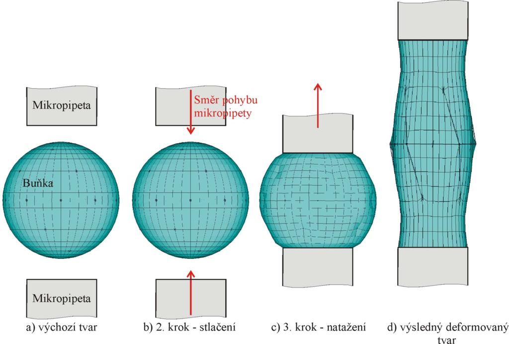 Obr. 7 Model geometrie a okrajové podmínky; výpočtová simulace Obr. 8 Výsledné porovnání MKP simulace a experimentu Obr.