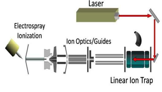 Multifotonová disociace infračerveným zářením IRMPD (InfraRed MultiPhoton Dissociation) po absorpci IČ záření prekurzorový ion excitován na vyšší vibrační stavy a následně dochází k fragmentaci vazeb