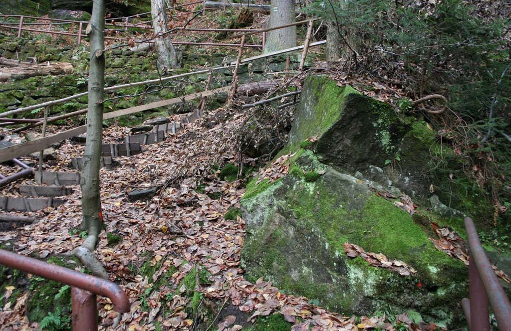 šipka) a umístění první a druhé populace Geocalyx graveolens na skále (žlutá a