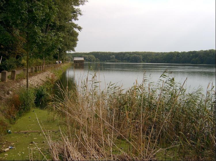 Ve směru toku se jmenují: Třtický, Nový, Bucký, Punčocha, Mlýnský, Pilský, Červený a Loděnický.