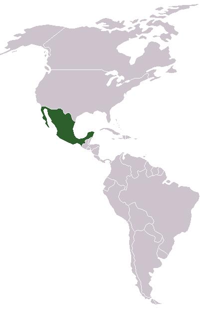 Mexiko Spojené státy mexické Jedna z předních ekonomik světa 123 518 000 obyvatel 11. nejobydlenější země světa 65 aktivních jazyků (Náhuatl, Maya Yucateco, Mixteco, ) 1 972 550 km 2 13.