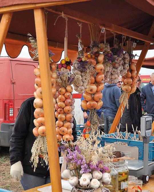 Ústí nad Labem Slavnosti Cibule 2017 Velmi zajímavou akcí v Ústeckém kraji jsou Slavnosti Cibule, kde kromě prezentace venkova, zemědělství, strojů a místních produktů byl v roce 2017 program na