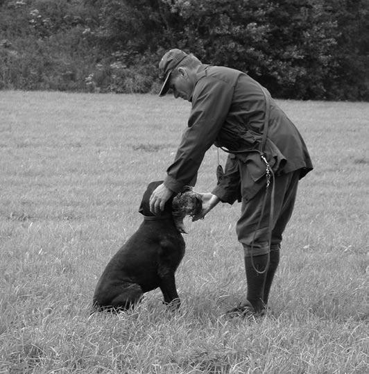 2. Fena smí kojit pouze takový počet štěňat, který odpovídá její zdravotní kondici, dle posouzení veterinárního lékaře.