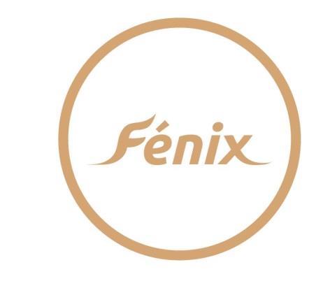 POJISTNÉ PODMÍNKY pojištění závažných onemocnění FÉNIX