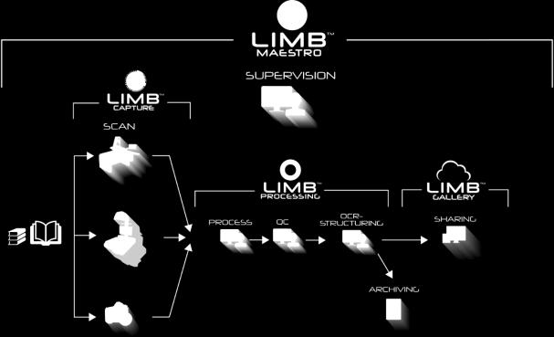 LIMB GALLERY