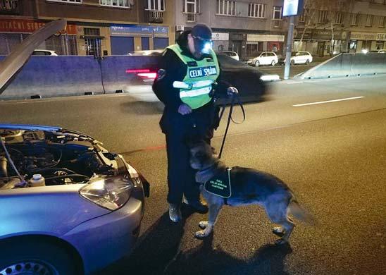 Jednalo se o ženu, která má vysloven zákaz řízení motorových vozidel, ale zjevně si z toho nic nedělá.
