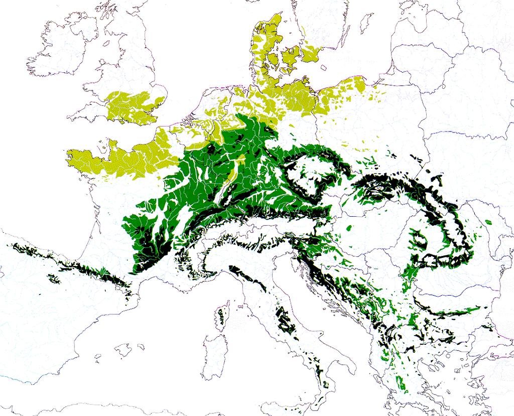 areály Fagus sylvatica Bučiny nížinné,