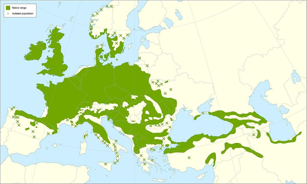 Vymezení střední Evropy Areály středoevropských dřevin subatlantské