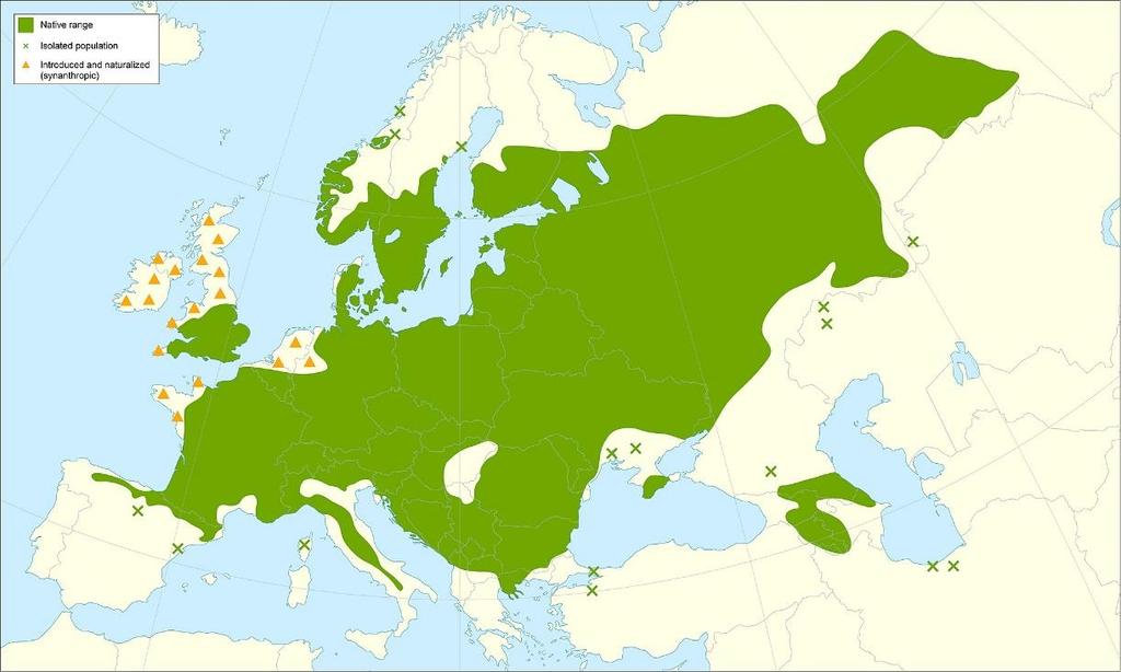 Vymezení střední Evropy Areály