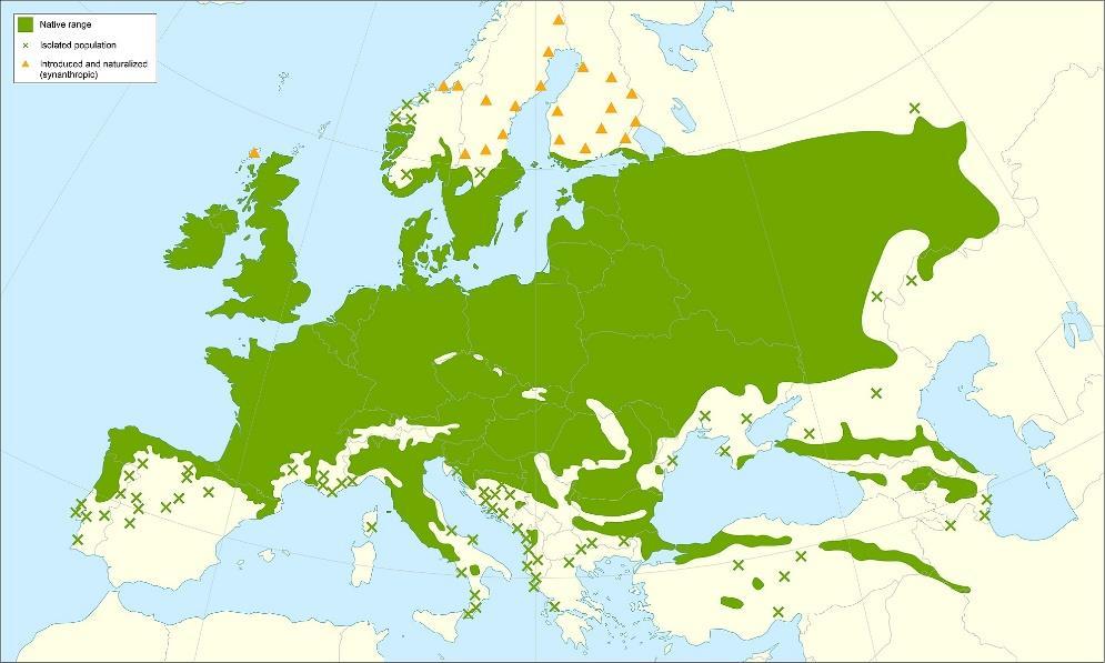 Vymezení střední Evropy