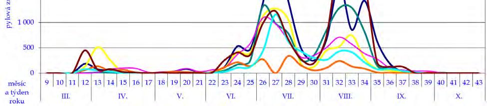 mezi 26. až 33. týdnem (dle lokality); maximální počty zrn byly mezi 1 200 až 1 400 zrn/m 3 /týden. Obrázek č.