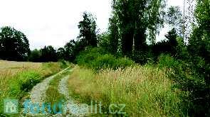 7 Prodej lesa 14 834 m², Lásenice, okres Jindřichův Hradec Nabízíme k prodeji soubor pěkných lesních pozemků o výměře 14