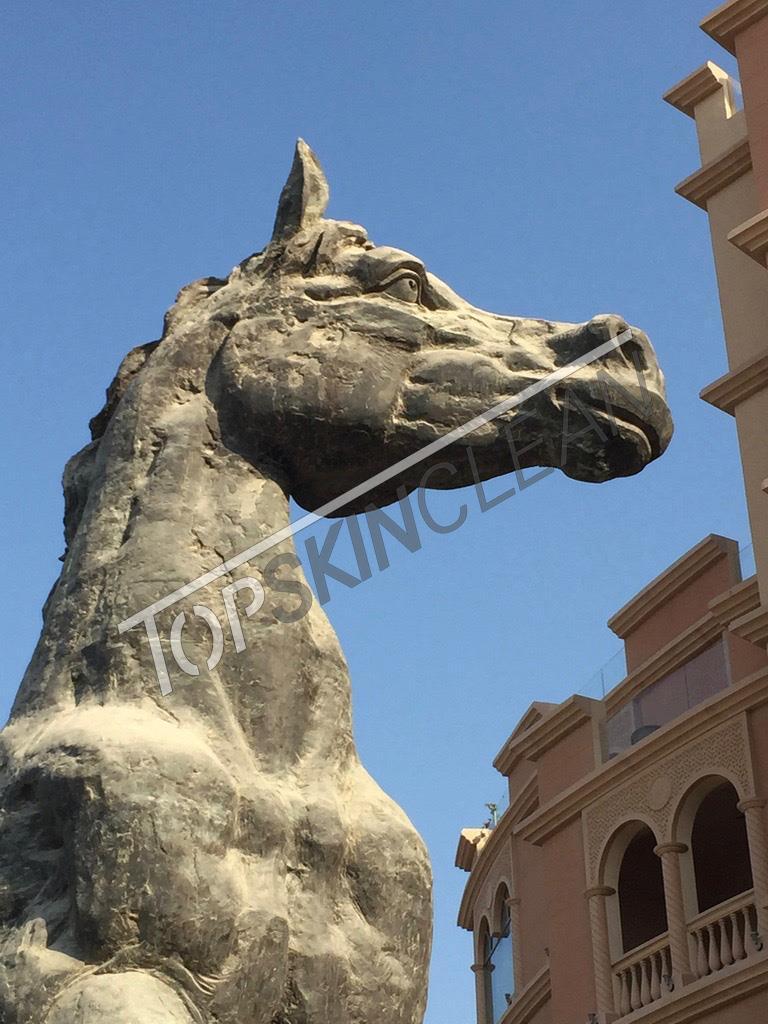 Nejvyšší bronzová socha koně na