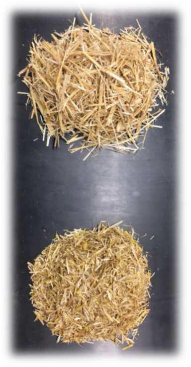 Vliv délky slámy v krmných dávkách pro rozdoj 25 Příjem sušiny (kg/d) 20 15 10 5 0 Long Dlouhá řezanka (5-8 cm) Short