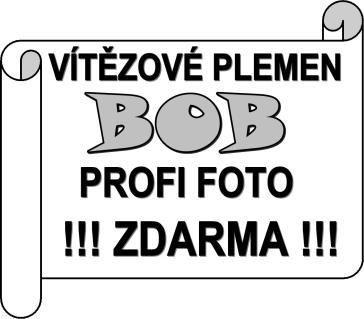 KLUBOVÁ VÝSTAVA K CH H M O neděle 30. dubna 2017 V AREÁLU POD ŠAMURKEM v Rajnochovicích (okres Kroměříž) http://podsaumburkem.cz/ GPS souřadnice 49.4178275N, 17.