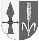 SLOVO STAROSTY VáÏení spoluobãané, v úvodu zdravím v echny spoluobãany a pfieji v em pfiíjemné proïití blíïících se vánoãních svátku a konce roku 2016.