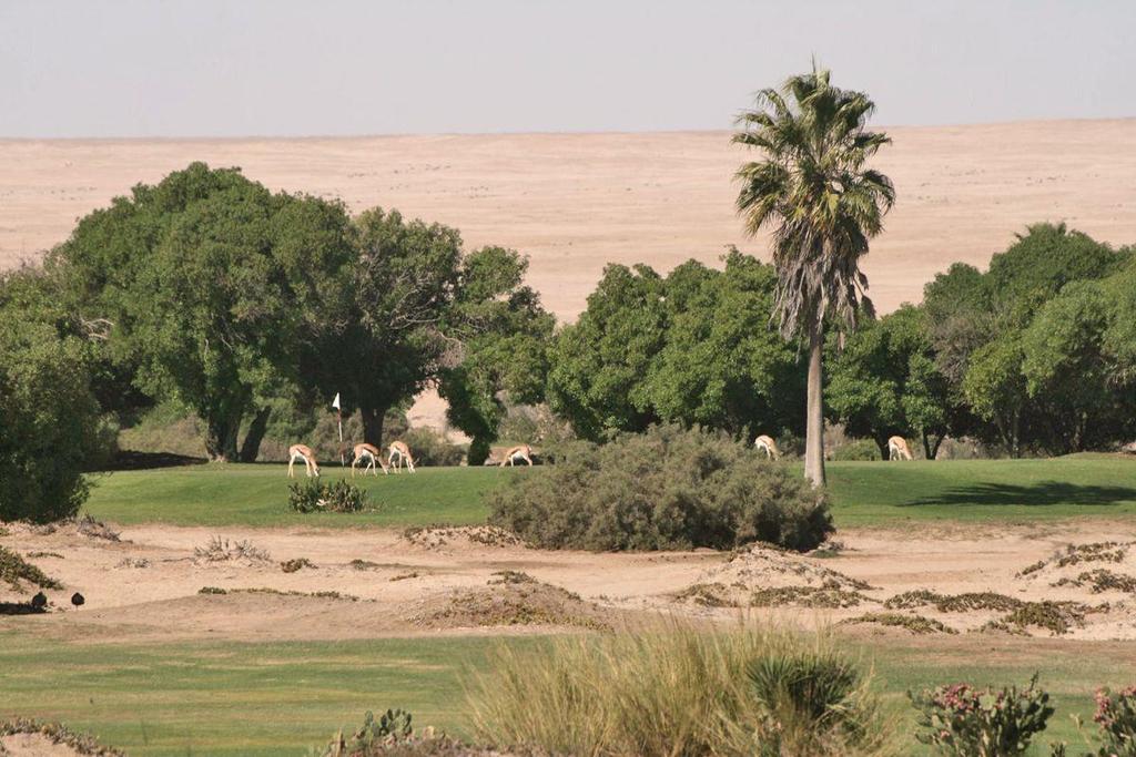 Nevím, kolik je v Namibii registrovaných golfistů, ale hřišť mají v současnosti celkem osm. Na třech jsme se byli podívat a dvě jsme hráli Windhoek GC a Rossmund GC.