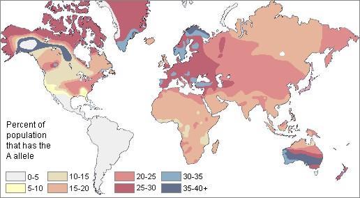 % populace