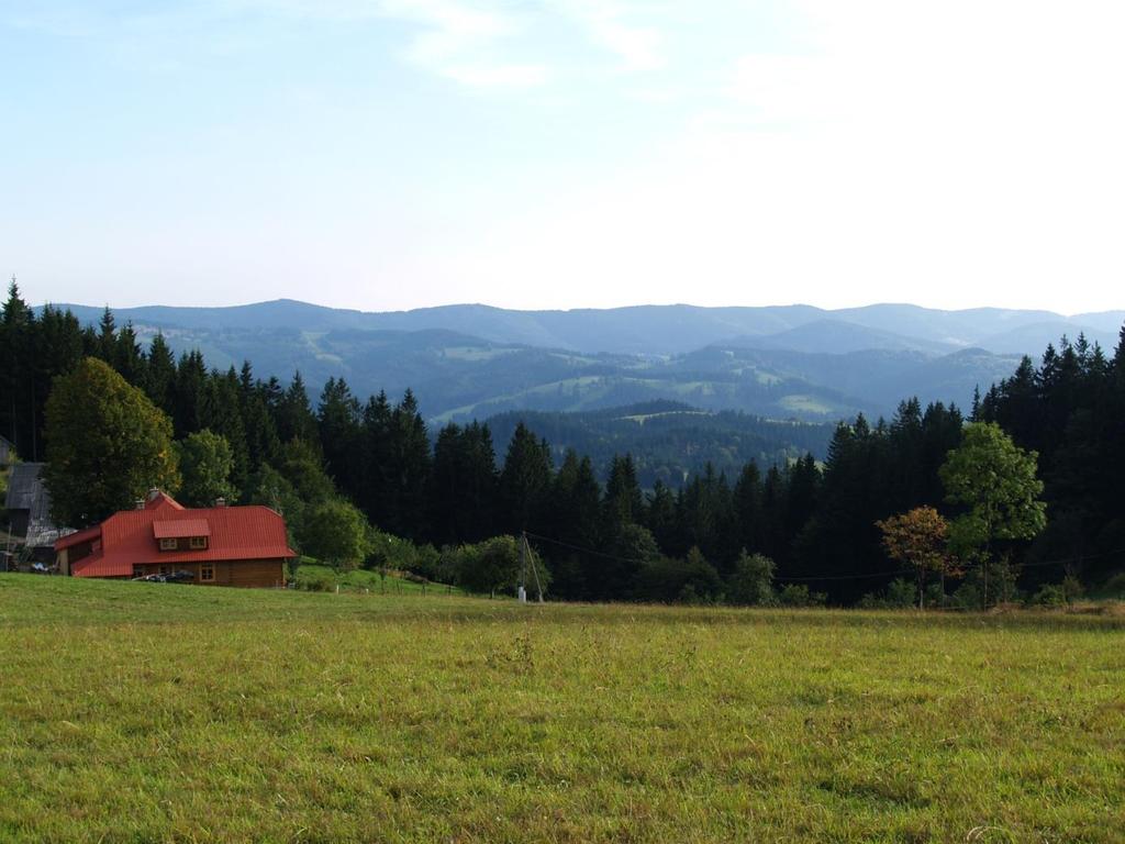 . Pohled ze západní části Janíčkovy
