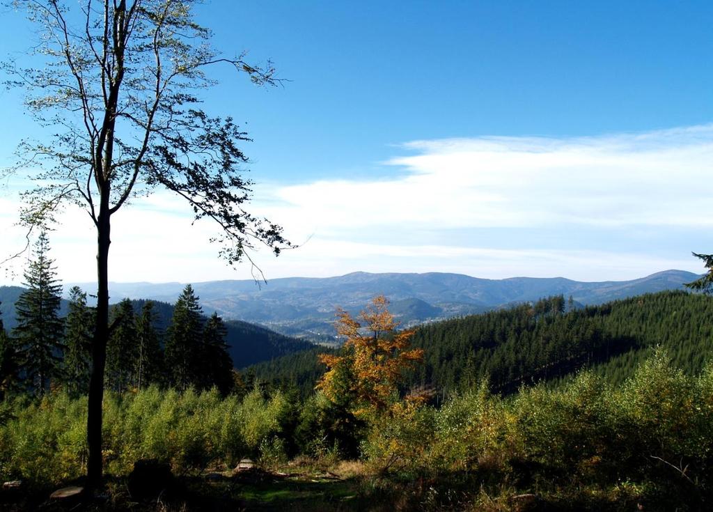 Pohled z Blinkovy Benešky k Radhošti.