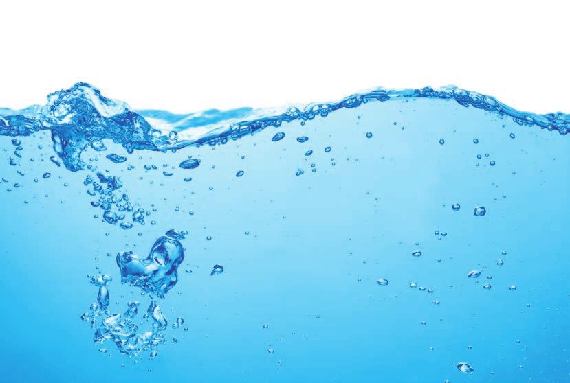 EKOLOGIE Do jaké míry si například uvědomujeme, jakou kvalitu má tekutina, kterou pijeme? Jaké složení má voda v naší krajině?