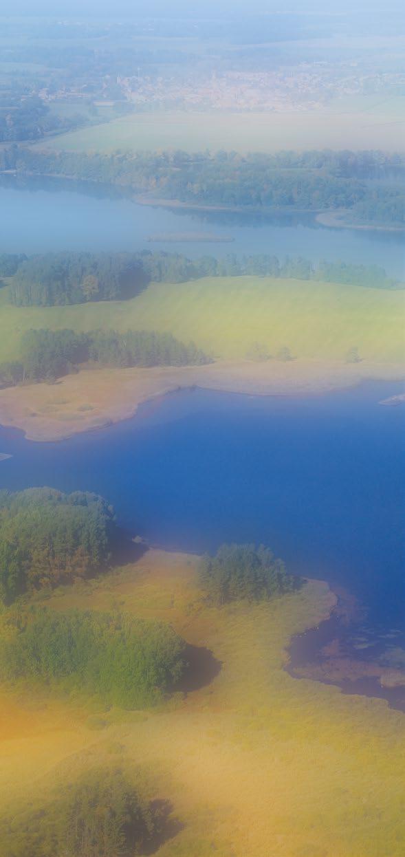 Krajina vodních zrcadel Rybník Velký Tisý Břilické rybníky Rybníky u Břilic nedaleko Třeboně jsou skvělým místem pro pozorování vodního ptactva.