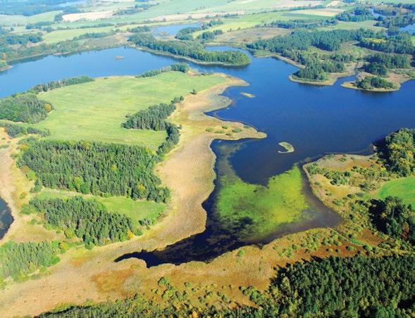 jespáci bojovní, vodouši, břehouši nebo drobní kulíci. Přístup: po zelené turistické značce z Třeboně a od cesty vedoucí z Břilic do Dvorců.