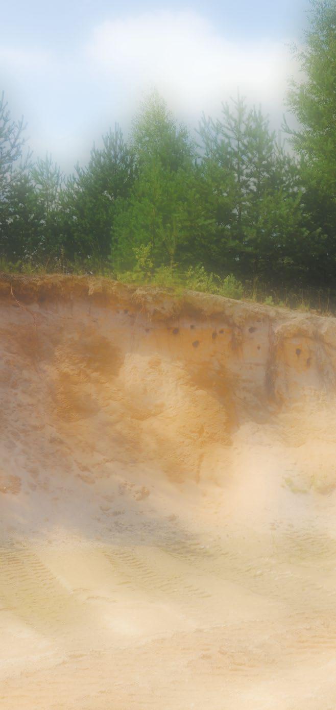 Krajina plná písku Veselské pískovny Přírodní rezervace Písečný přesyp u Vlkova Vraťte se o deset tisíc let zpátky na konec doby ledové a navštivte jednu z písečných dun Třeboňska.