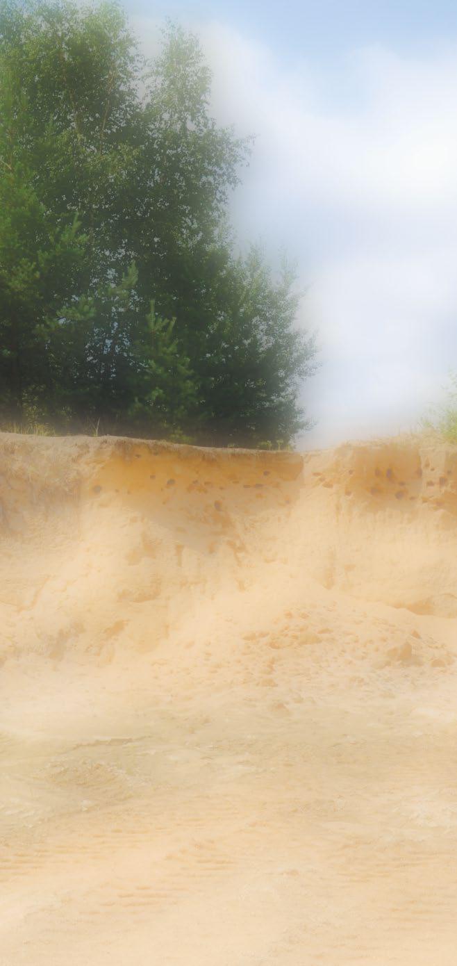 Vrstvy písků dosahují v Třeboňské pánvi hloubky až 350 m. Z písečných dun navátých větrem zůstaly odkryté pouze dvě, písečný přesyp u Vlkova a Slepičí vršek u Lužnice.