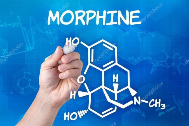 OPIOIDY V ANESTEZII Morfin (Friedrich