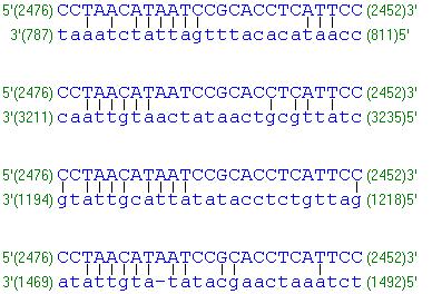vazebnými místy na templátové DNA: Správně navržený