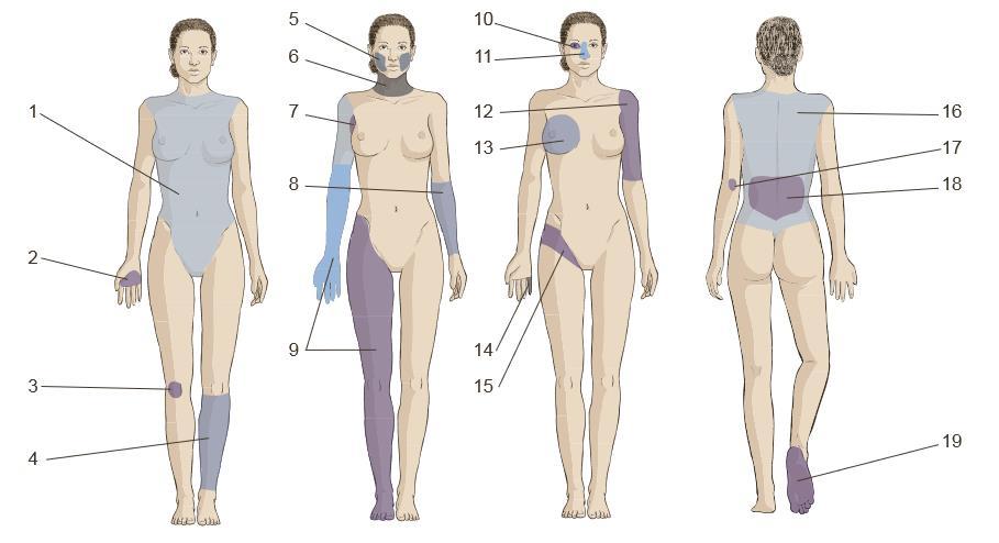 2 4. Přiřaďte čísla z obrázku k níže uvedeným anatomickým termínům a termíny přeložte: antebrachium sinistrum axilla dextra brachium sinistrum buccae collum coxa dextra cubitus sinister digitus