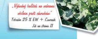 Účinná látka: tebuconazole 250 g/l Formulace: emulze typu olej/(ew) Balení: 5l,10l Tebusha25%EW-mechanismusúčinku Tebusha 25% EW s účinnou látkou tebuconazole je systémový fungicid s preventivní,