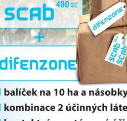 fungicid s dlouhotrvajícím preventivním a kurativním účinkem. Účinná látka je rostlinou rozváděna translaminárně a akropetálně.