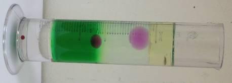 One of the hands-on activities that might eliminate the mentioned misconceptions is that students make a liquid layer density column and take 3 hydrogel pearls with different