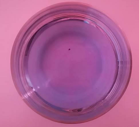 Hydrogel pearls might be used as a magnifying glass or lens. Students take a hydrogel pearl and observe the world through it (Figure 11).