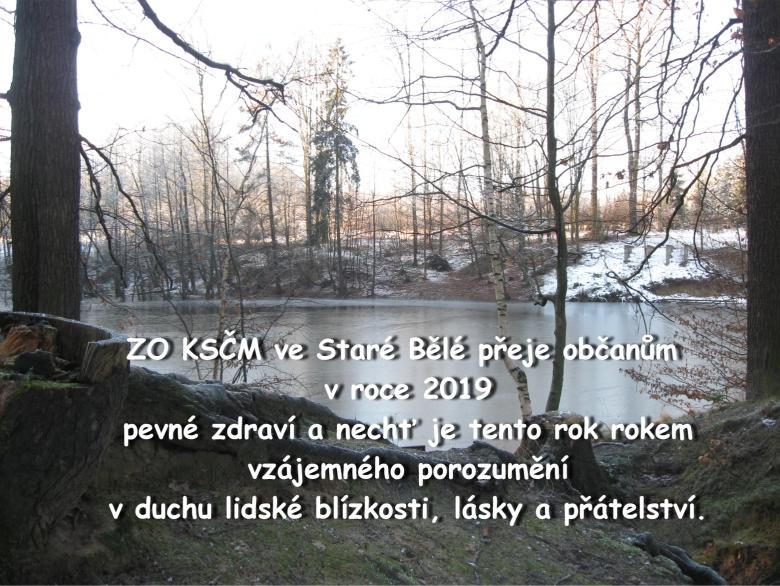 KOMINICTVÍ Radovan Polakovič IČ: 74447971 Nabízím Vám: Pravidelnou kontrolu spalinových cest dle vyhlášky č. 91/2010 Sb.