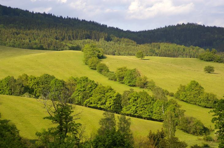 připravované výzvě