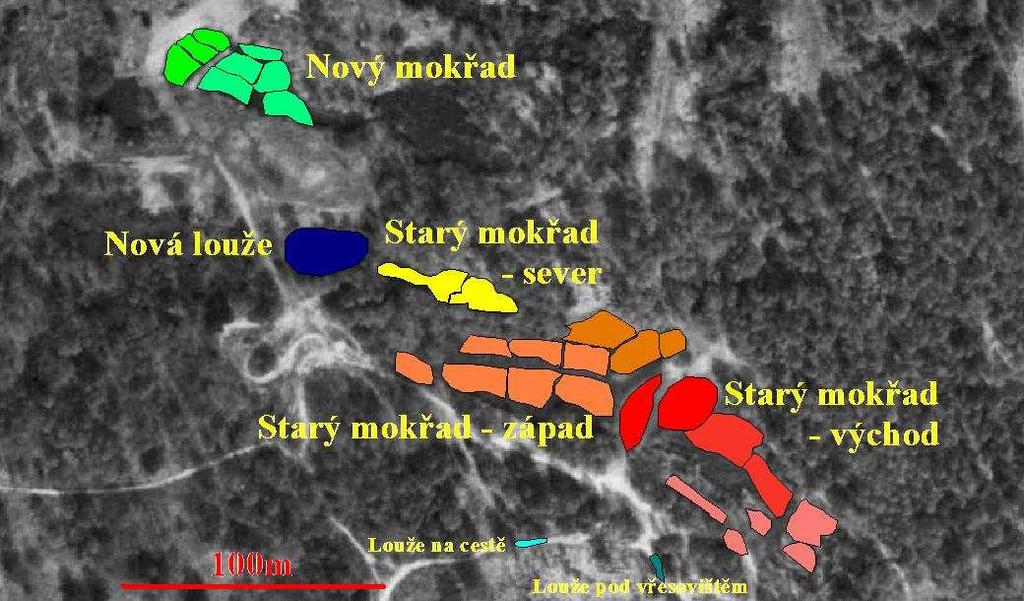 Obrázek č.3: vodní plochy v centru lokality 3.1.1. STARÝ MOKŘAD Největší vodní plocha v centrální části lokality.