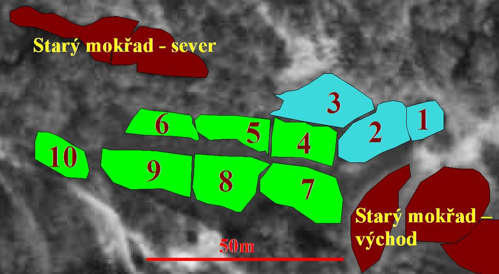 Obrázek č.4: Oblasti na Starém mokřadě západě. Tabulka č.