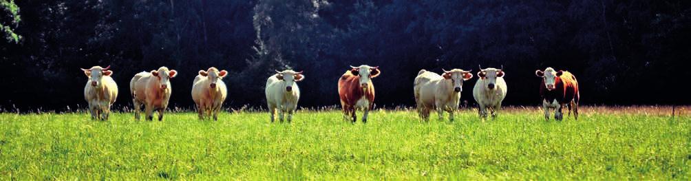 Organic Farming in the Czech Republic Yearbook 2017 11.