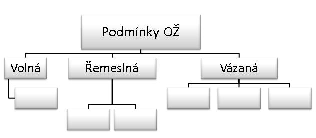 2. Vázaná živnost Např. autoškola, drezúra zvířat, obchod se zvířaty pro zájmové chovy, účetní a daňoví poradci Vyžaduje doložení (výuční list, maturitní vysvědčení, diplom) Vyžaduje určitou. 3.