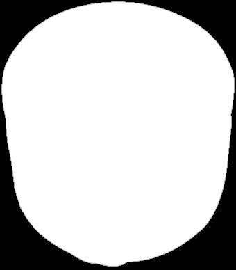 90 44 90 299 90 Roláda s náplní