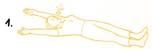 2. Svalová skupina: Hýžďové svaly, svaly zadní strany stehen ZP: Leh na zádech pokrčmo, HKK podél těla.