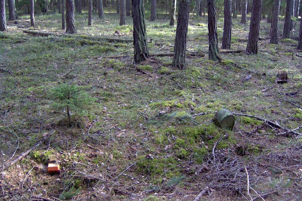 V příloze A se nachází kompletní přehledka a pořízené fotografie všech mezníků, které jsem ztotožnila se zákresem v mapě pozemkového katastru. Obr.